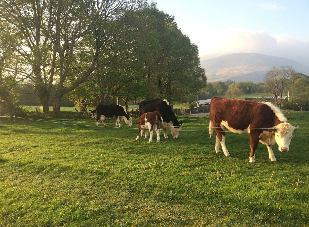 Inveraray Farm B&B Beaufort Exteriör bild